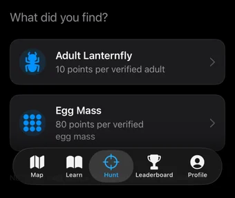 Lantern Hunt's Hunt screen asking What did you find?, with options for Adult Lanternfly at 10 points per verified adult and Egg Mass at 80 points per verified egg mass.