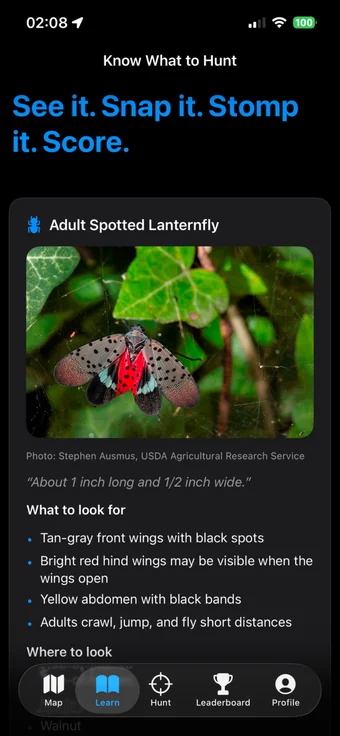 Lantern Hunt's Learn screen, titled Know What to Hunt, showing an adult spotted lanternfly photo and a list of features to look for.